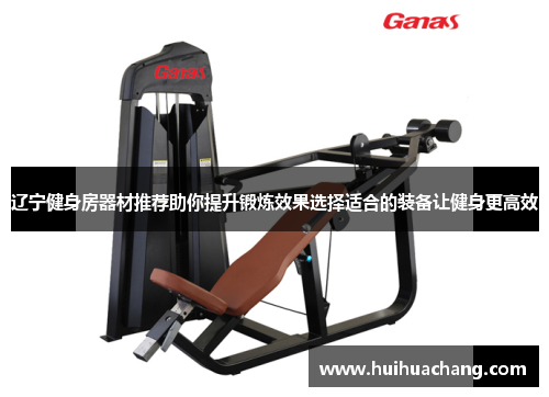 辽宁健身房器材推荐助你提升锻炼效果选择适合的装备让健身更高效